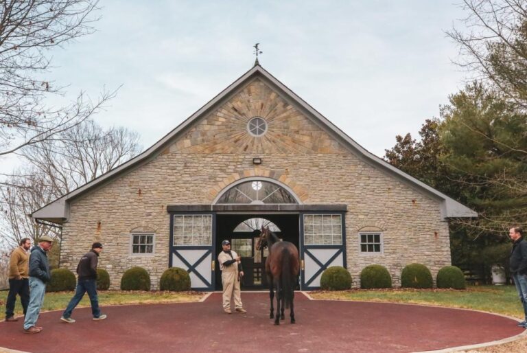 Coolmore Stud Farm Tour