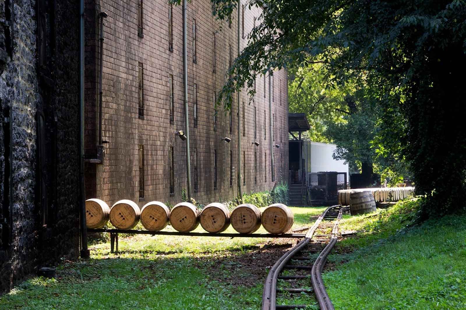 Bourbon Country is known for its distilleries and bourbon tours, but there is so much more to explore beyond just sipping on the rich liquor. This region offers a wide range of activities that are perfect for families with children of all ages. From outdoor adventures to cultural experiences, here are some fun-filled options to add to your itinerary.